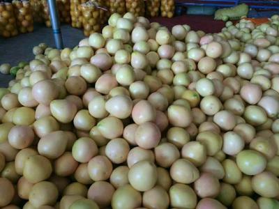 浙江省溫州市永嘉縣農(nóng)產(chǎn)品價(jià)格行情走勢(shì)分析